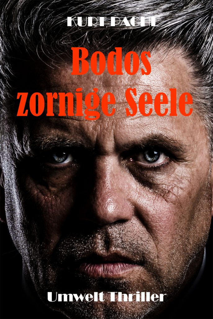 Book Cover: Bodos zornige Seele